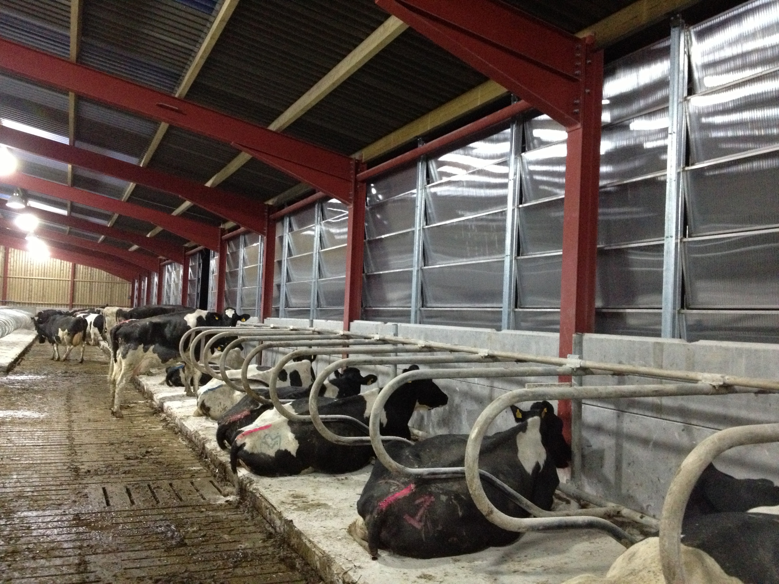 Yorkshire boarding The Farming Forum