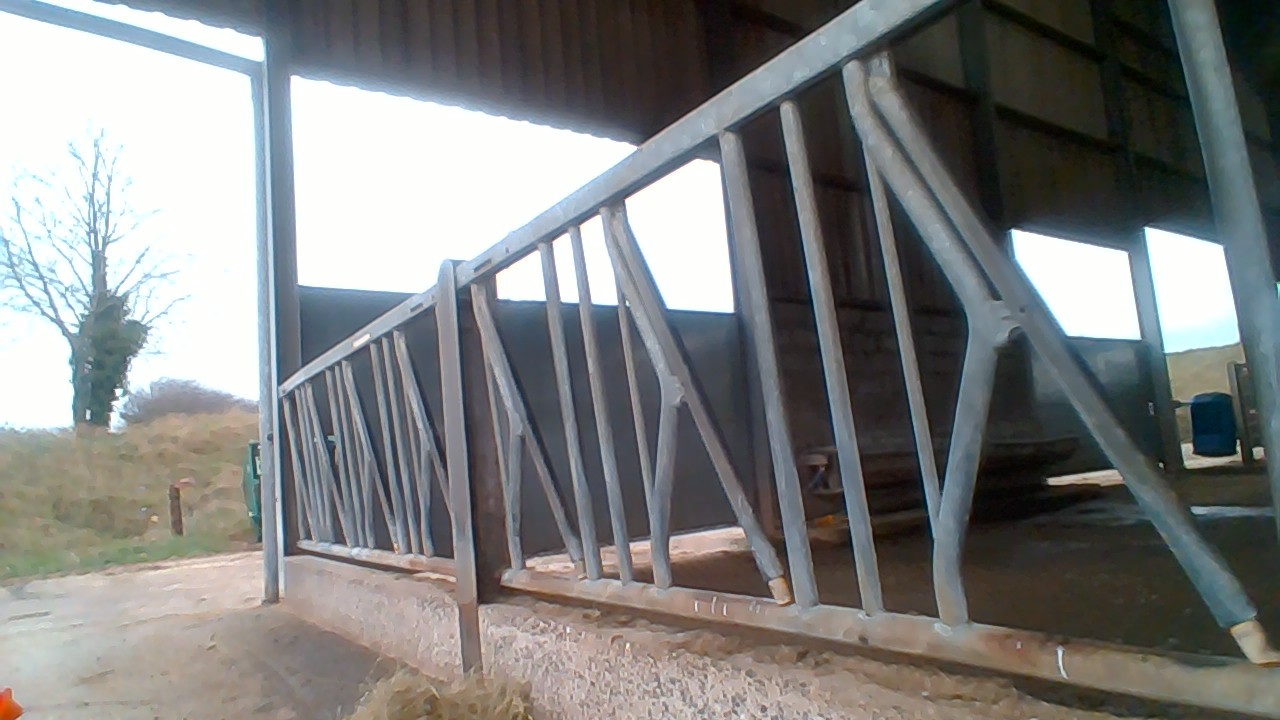 Self locking yokes for sale The Farming Forum