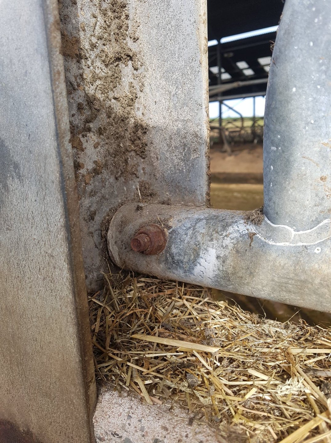 Self locking yokes for sale The Farming Forum