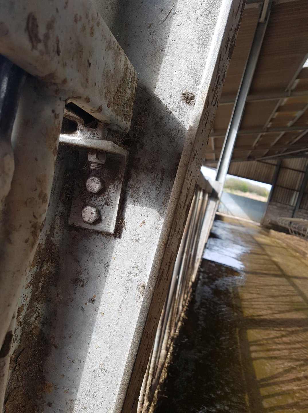 Self locking yokes for sale The Farming Forum