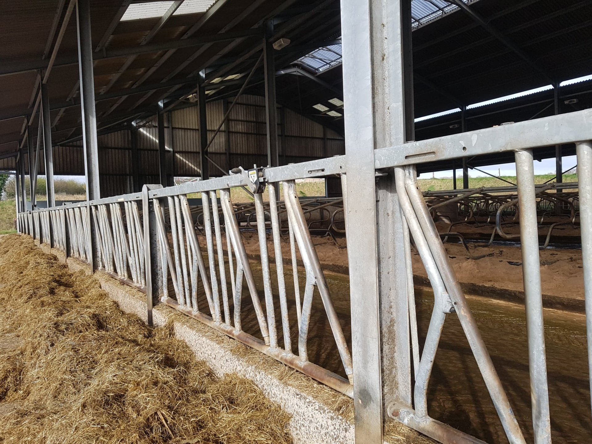 Self locking yokes for sale The Farming Forum