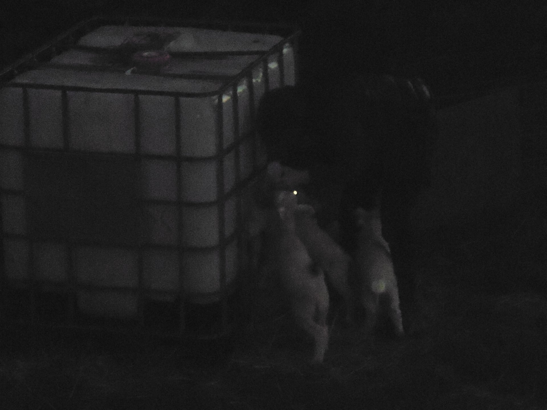 P1050065.JPG P1050065.JPG
