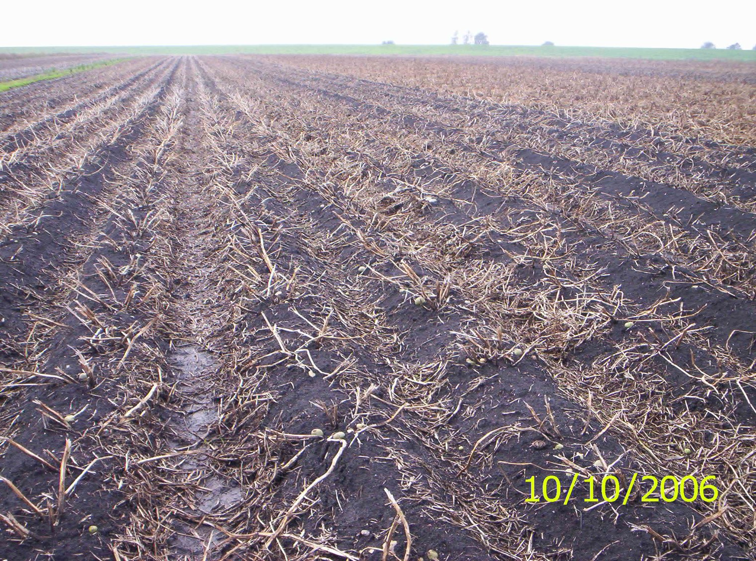 Image 2.jpg Image 2.jpg