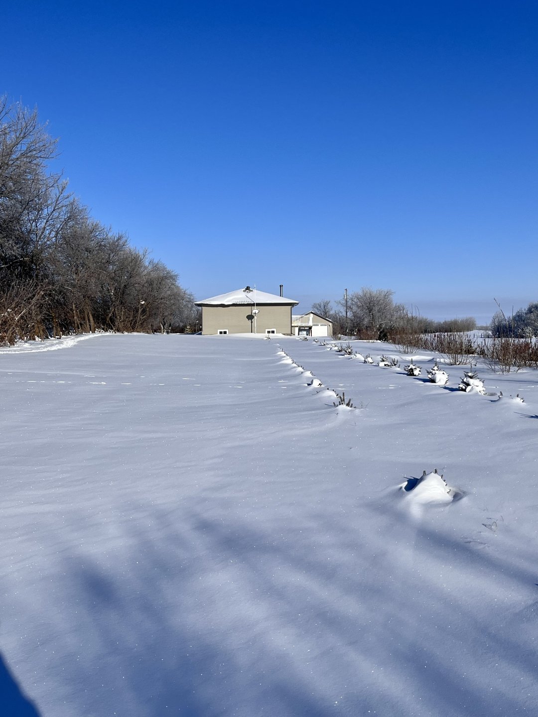 Get Yer Toque On! Page 51 The Farming Forum
