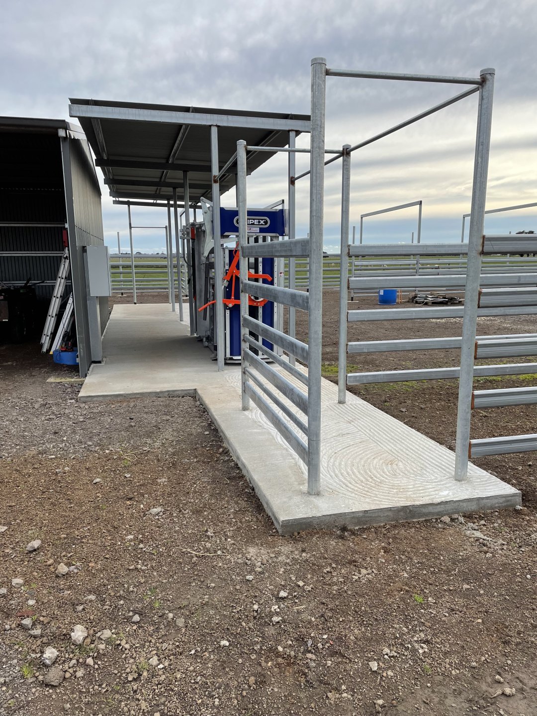 Weigh bars underneath cattle crush The Farming Forum