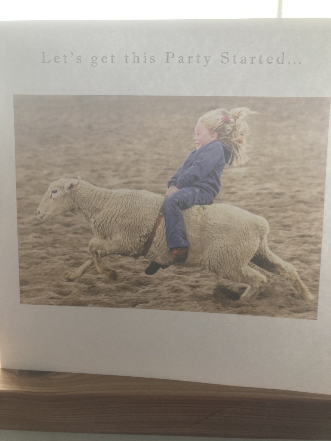 Confessions of the Sheep/Beef Cattle/Pig Addicts | Page 613 | The ...
