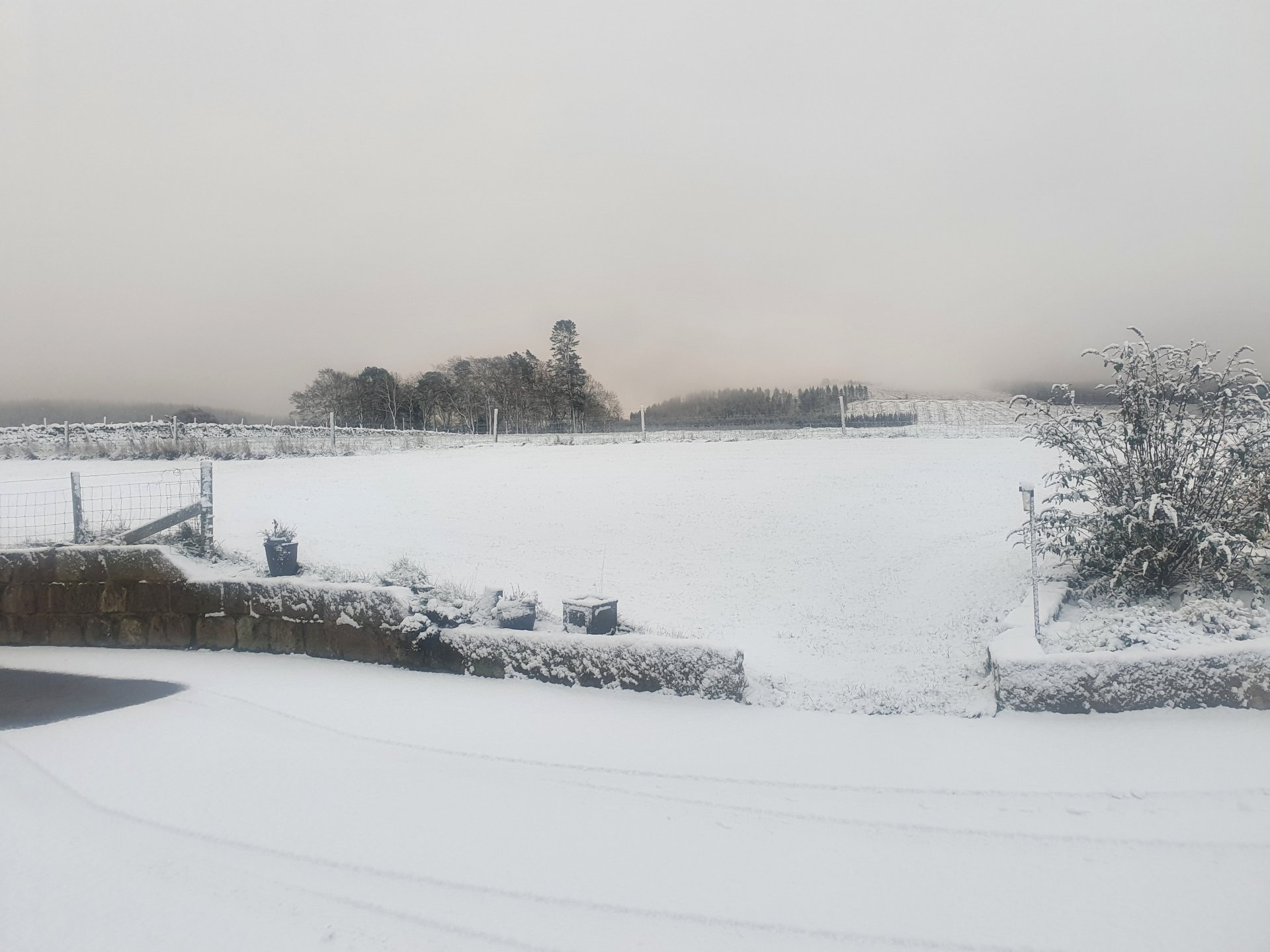 Snow The Farming Forum snow-the-farming-forum