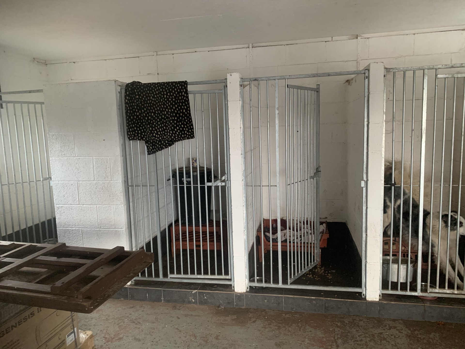 Dog kennels The Farming Forum