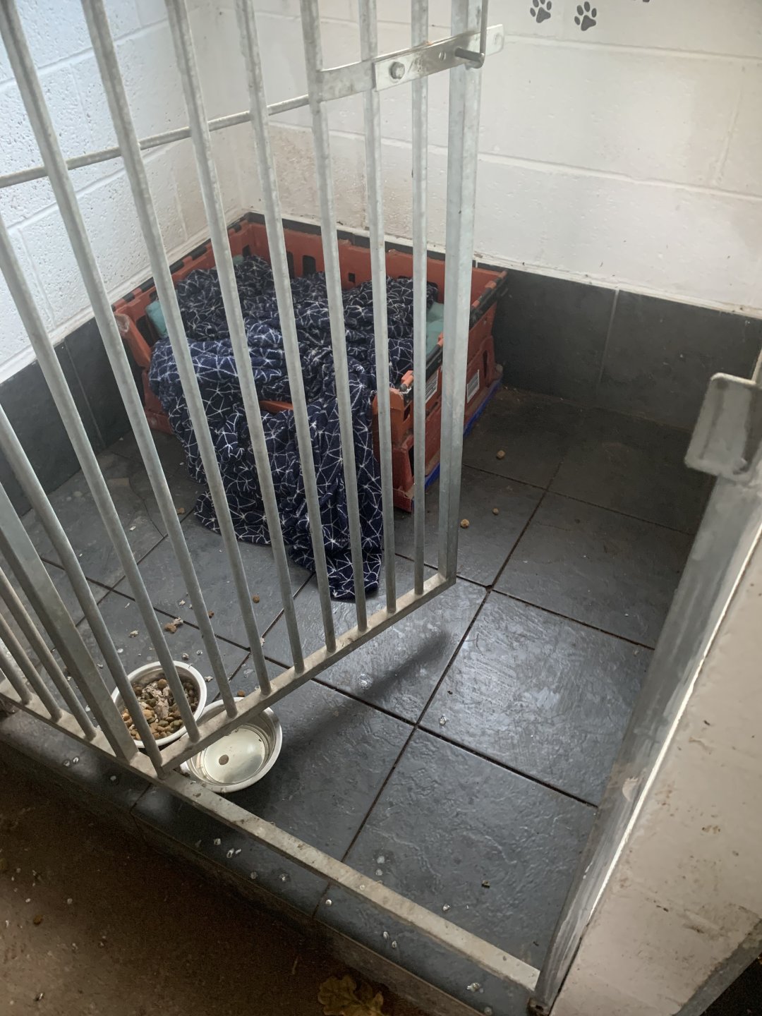 Dog kennels The Farming Forum