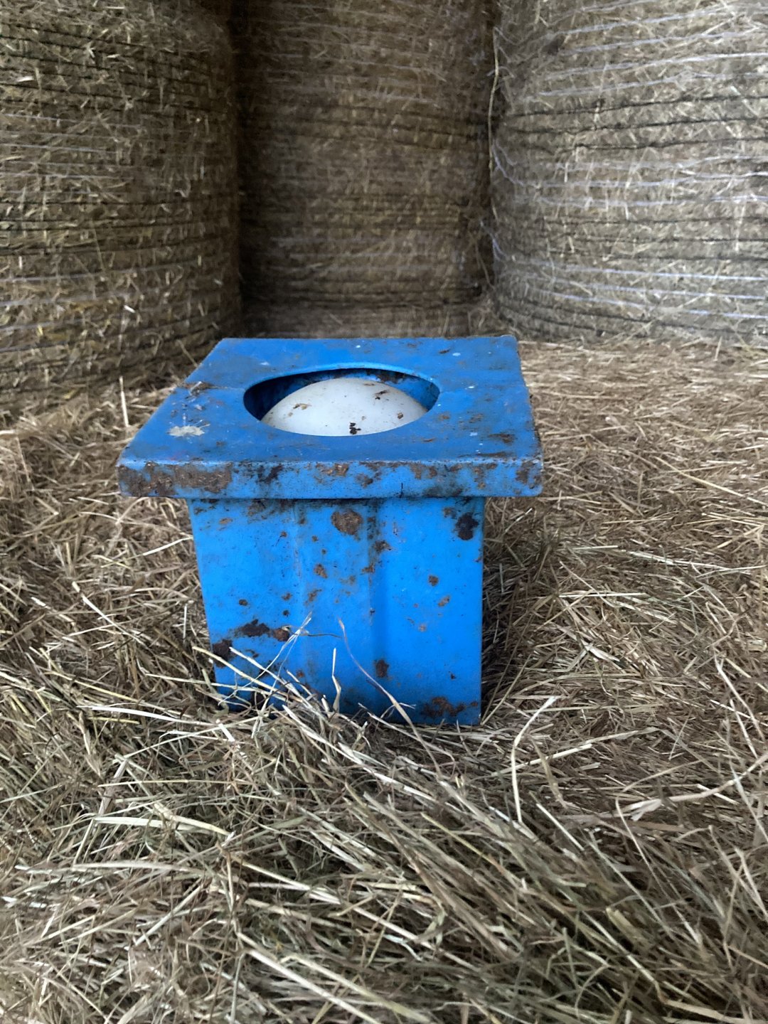 Molasses Ball lick feeder spares balls? The Farming Forum