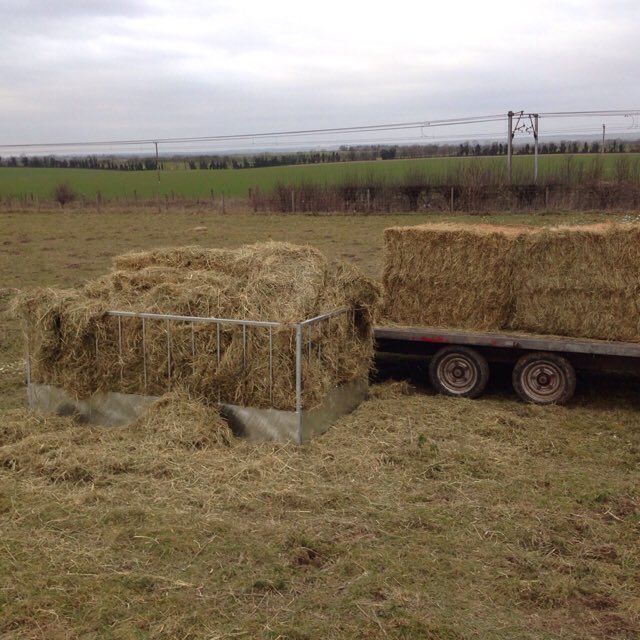 Iae Square Bale Feeder The Farming Forum