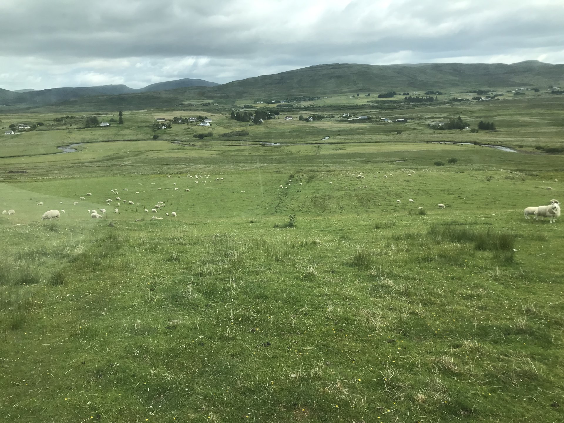 Cut Rushes Cutting rushes after roundup | Page 2 | The Farming Forum
