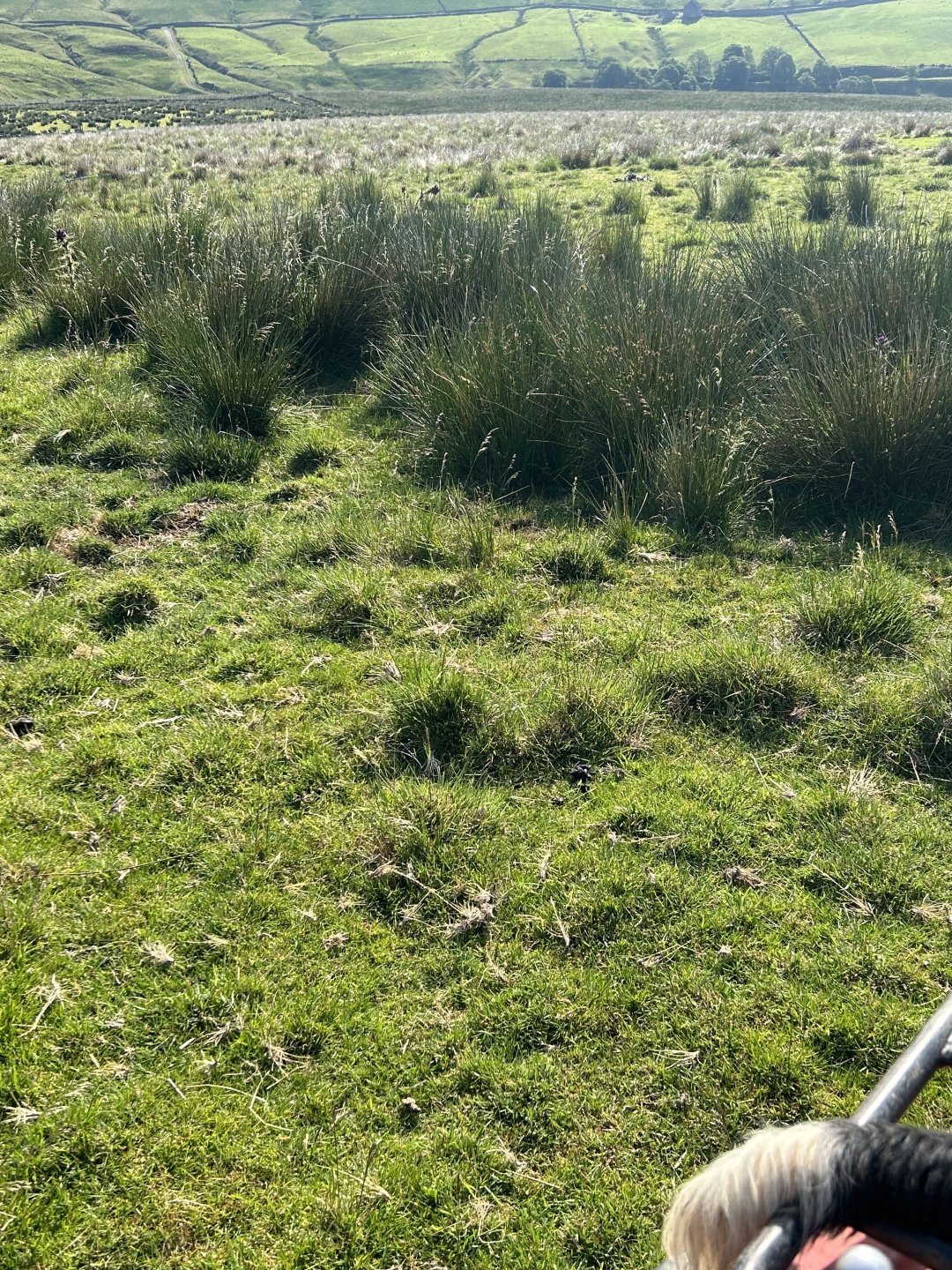 Cut Rushes Cutting rushes after roundup | Page 2 | The Farming Forum