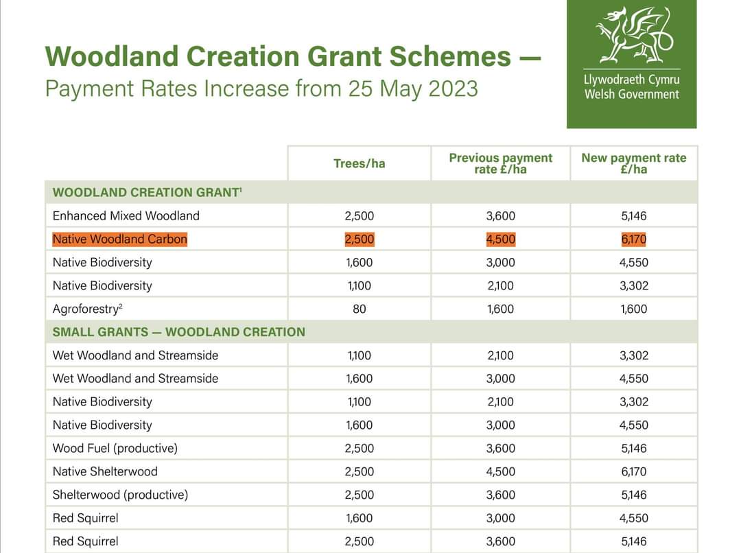 Woodland creation Grants Wales The Farming Forum