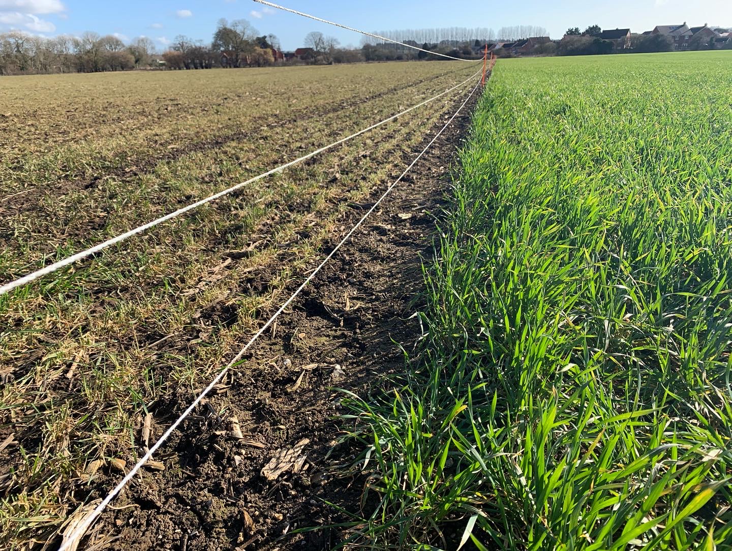 extase-can-you-drill-it-early-the-farming-forum