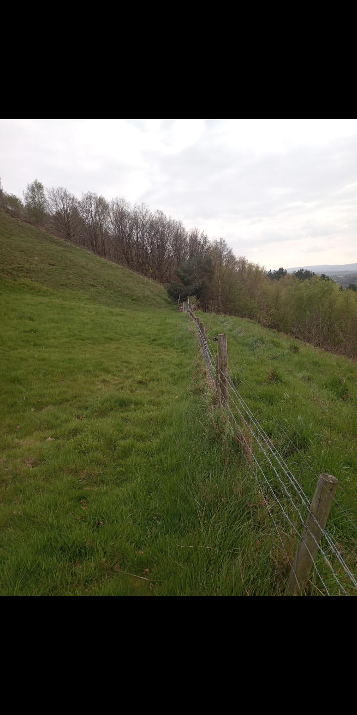 Best way to fence this field boundary? Page 2 The Farming Forum