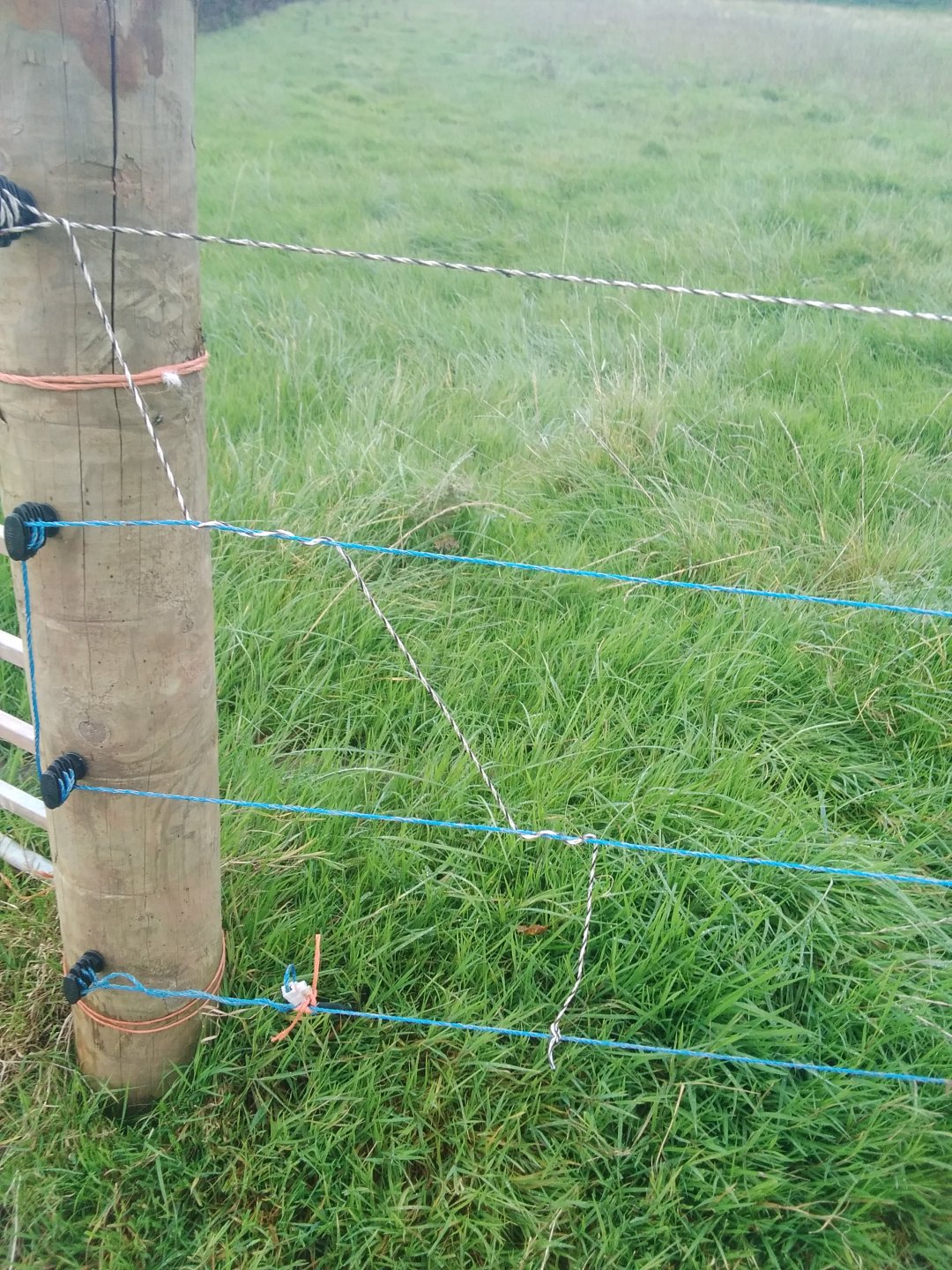 Electric fence for dummies Page 2 The Farming Forum