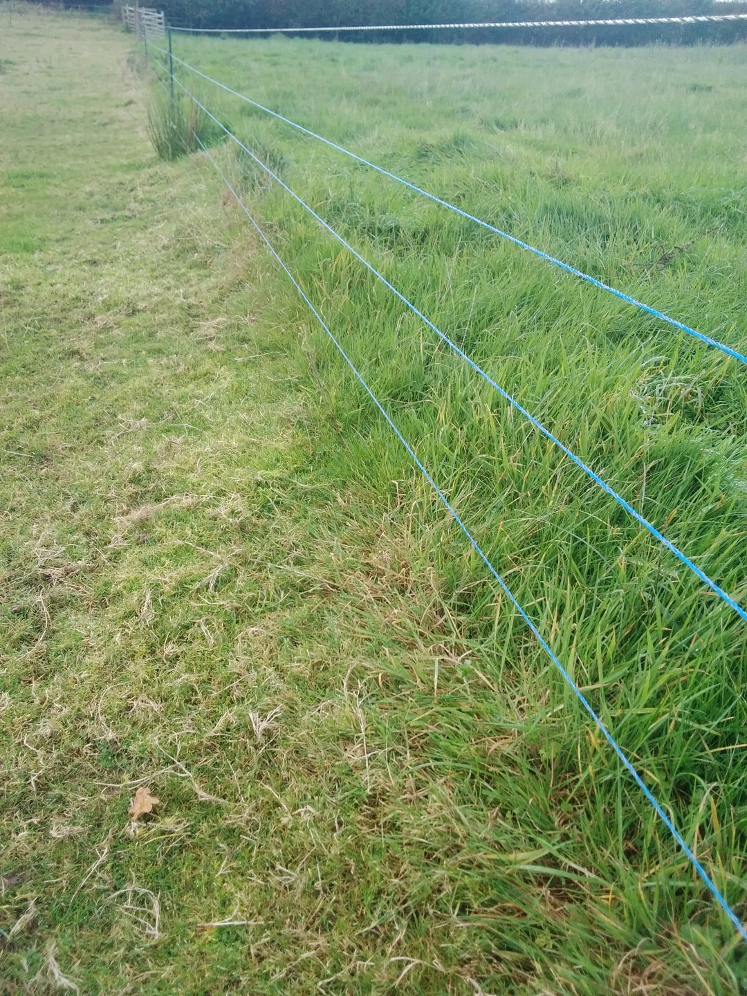 Electric fence for dummies Page 2 The Farming Forum