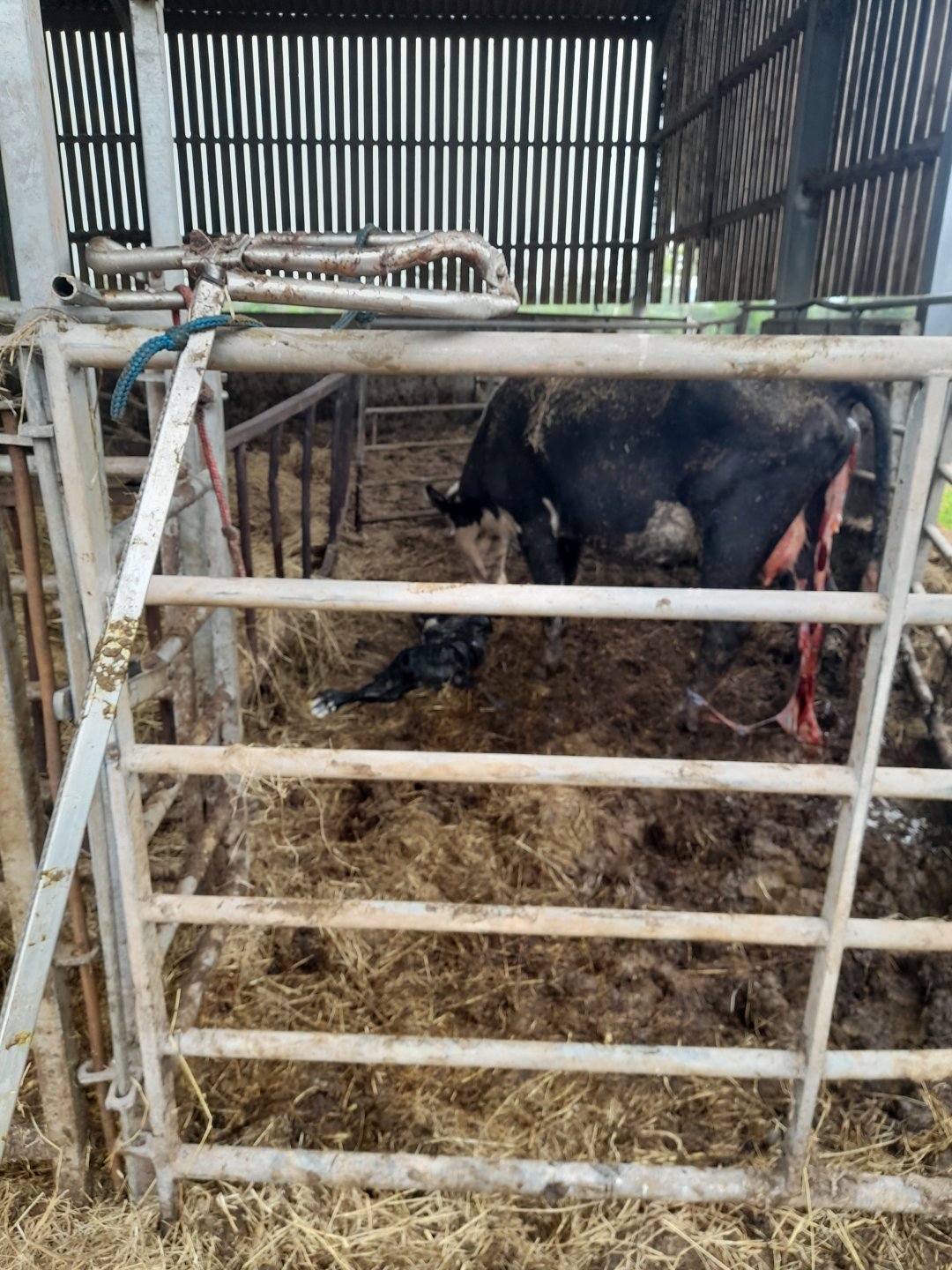 Interested in buying a farm no experience Page 4 The Farming Forum