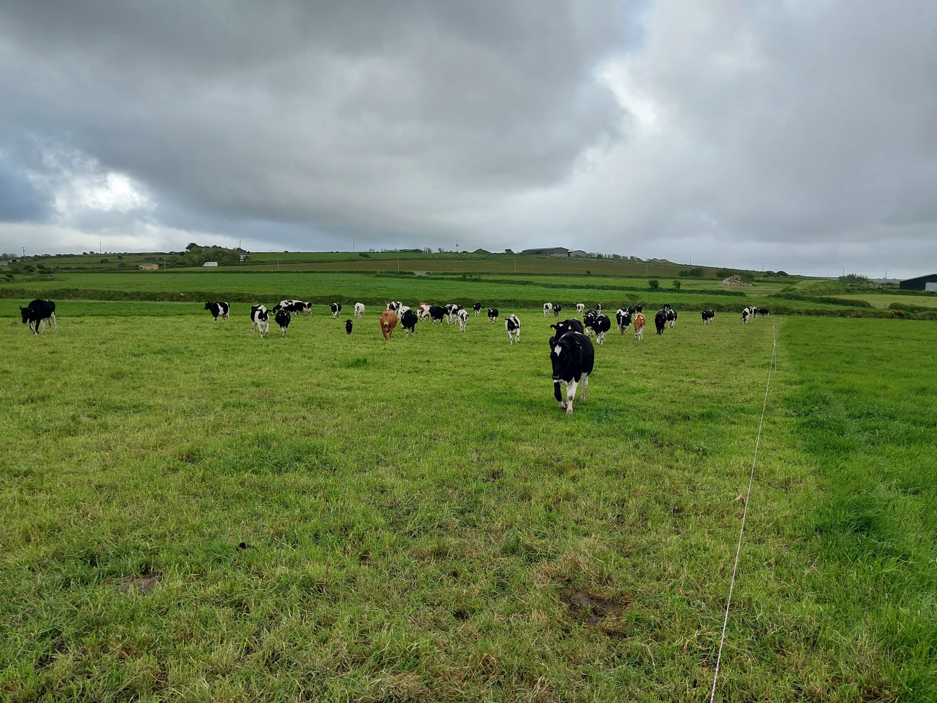 All Things Dairy Page 3311 The Farming Forum all-things-dairy-page-3311-the-farming-forum