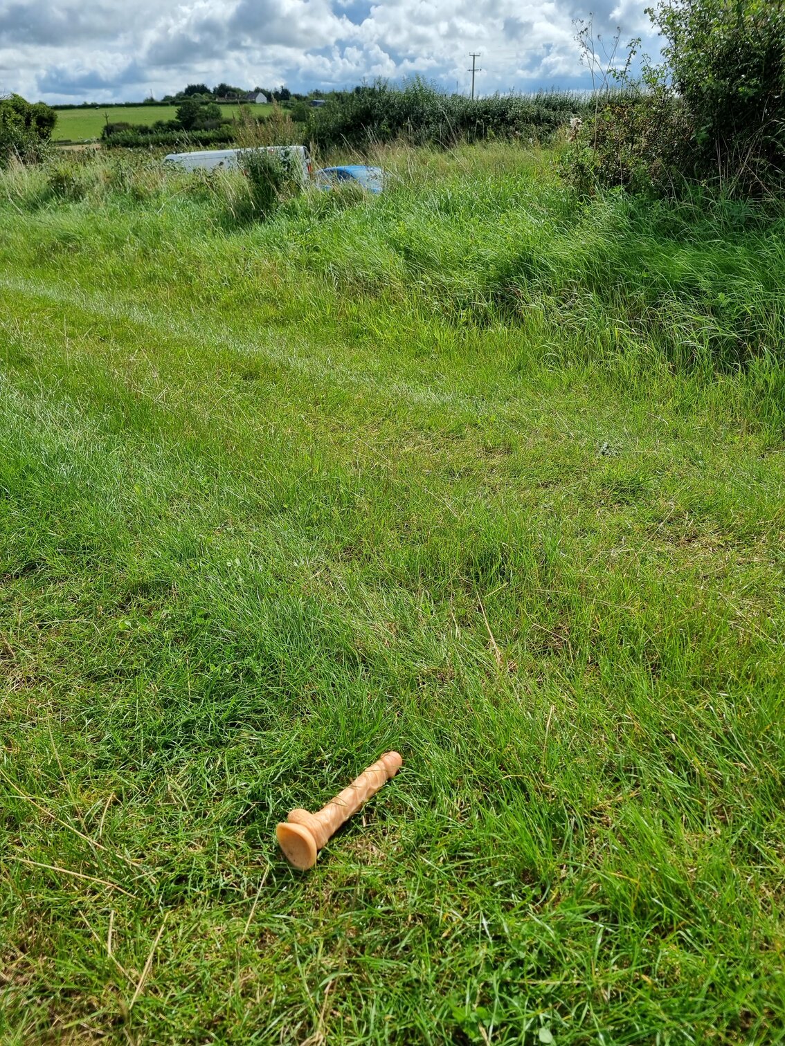 What Do You Find Often In Your Grazing Fields ? Page 4 The Farming