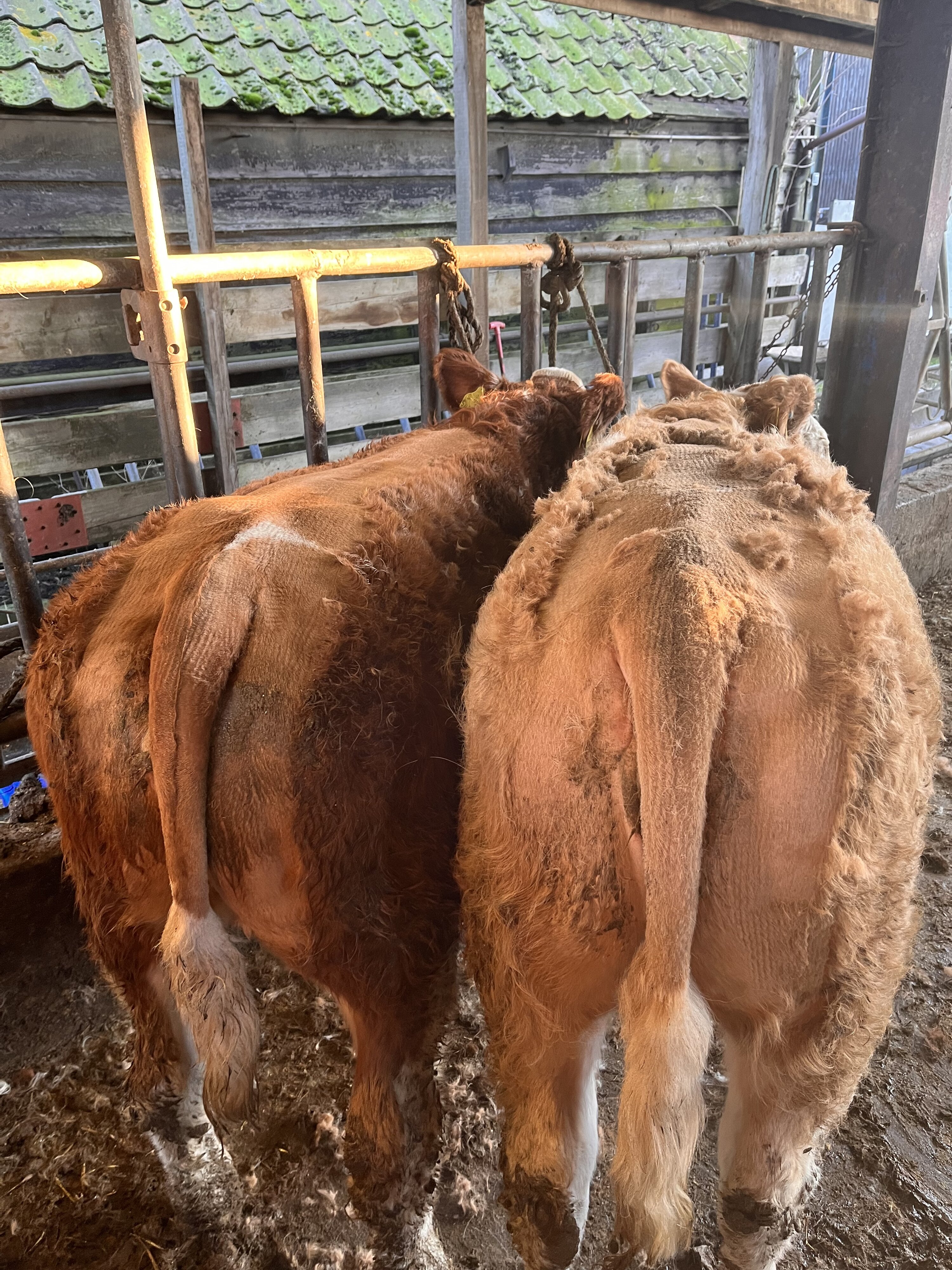 Today at work | Page 7727 | The Farming Forum
