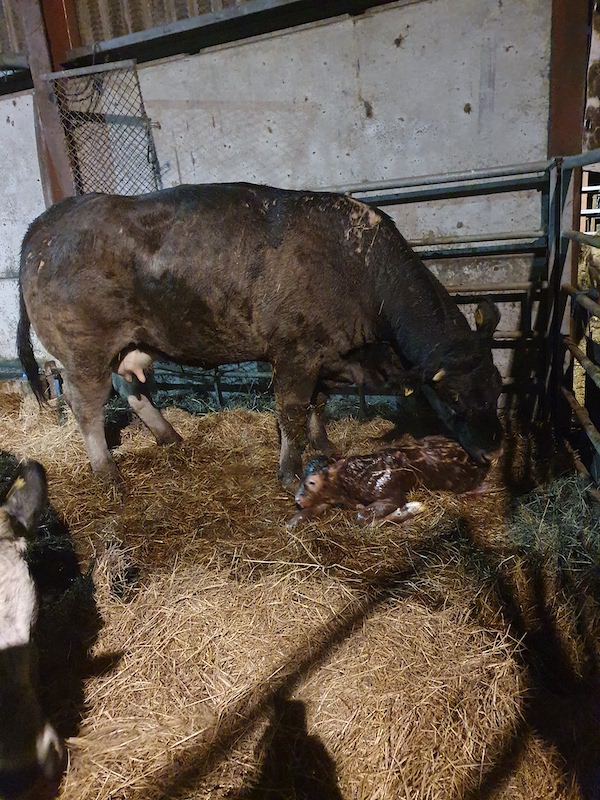 Today at work | Page 7760 | The Farming Forum
