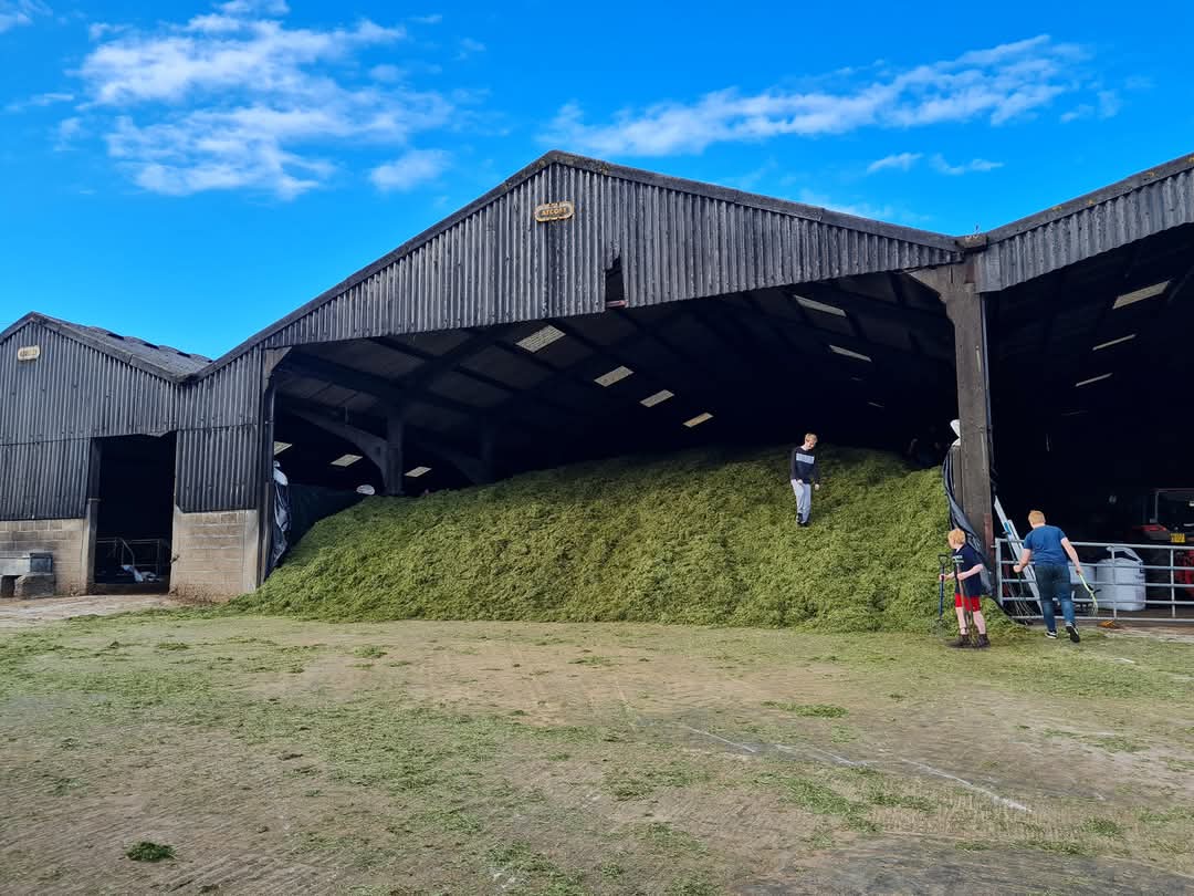 Farmers earn more from YouTube than their crops | Page 509 | The ...