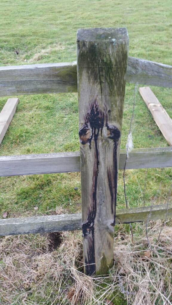 Creosote & Fence posts Page 3 The Farming Forum