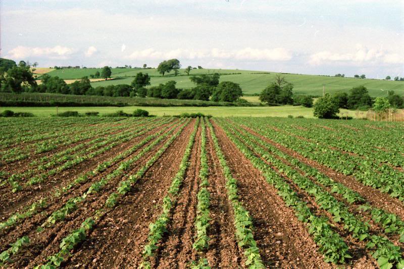 Groby Farms, Leicestershire - Photos through the decades! | The Farming ...