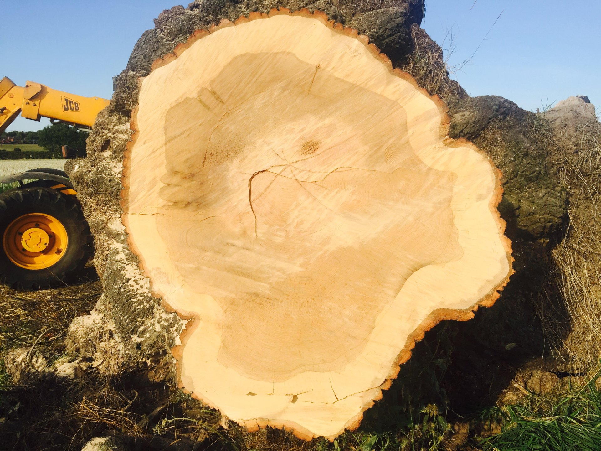 Moving a tree trunk The Farming Forum