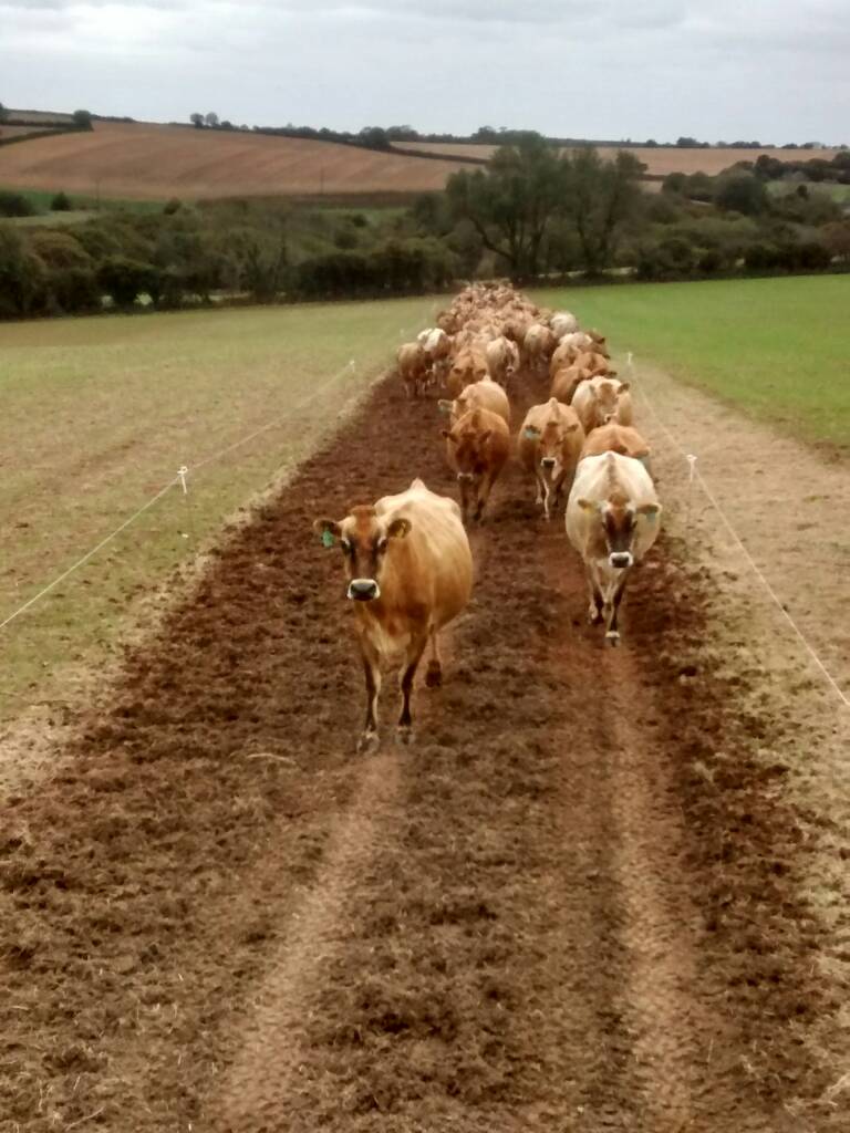 All things Dairy | Page 114 | The Farming Forum