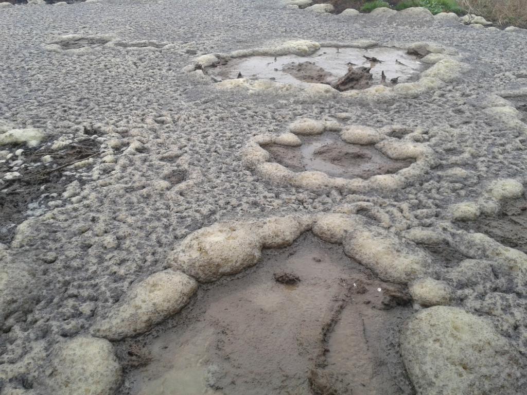Bacteria working in slurry | The Farming Forum