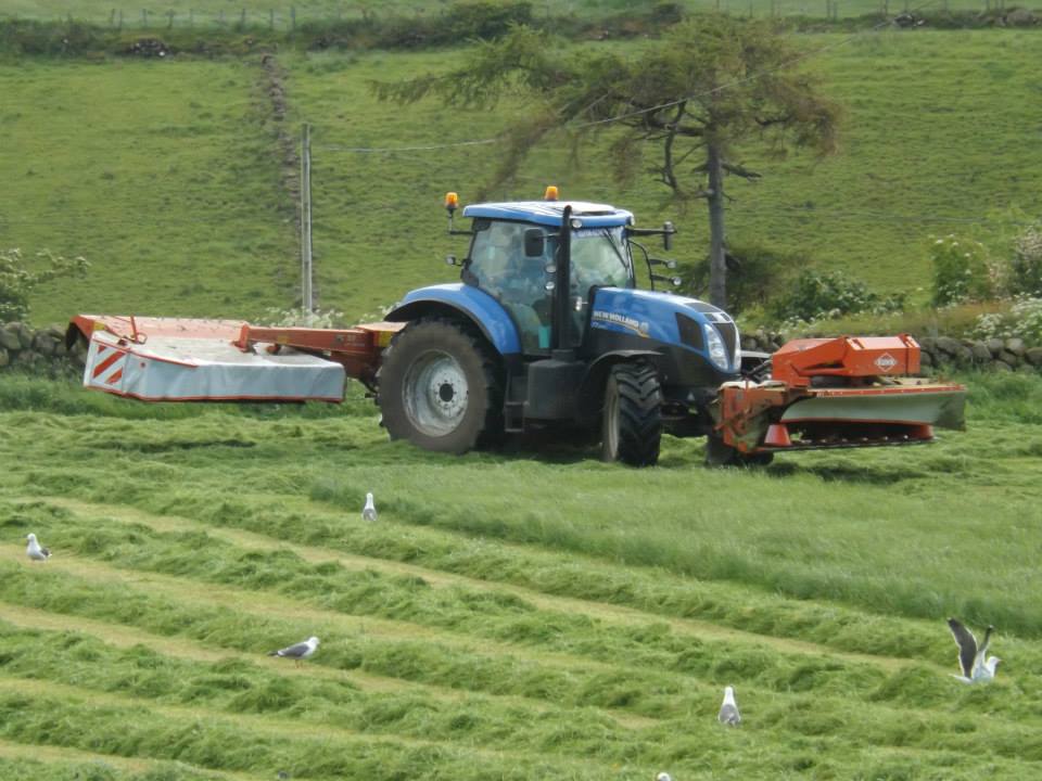 mow.jpg mow.jpg