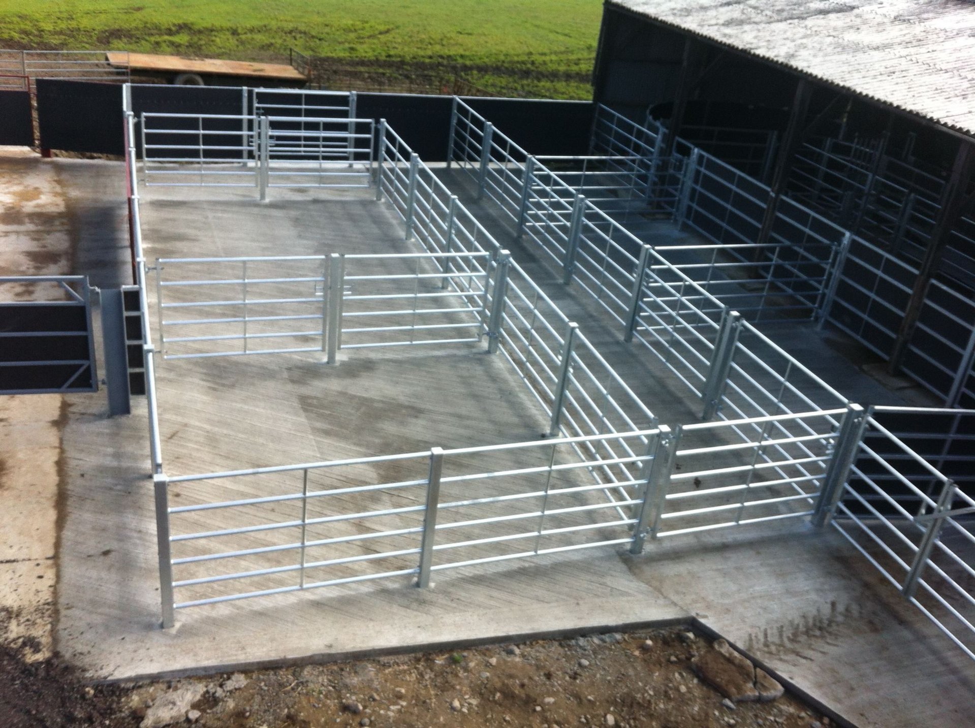 Outdoor Cattle Handling Pens And Race The Farming Forum