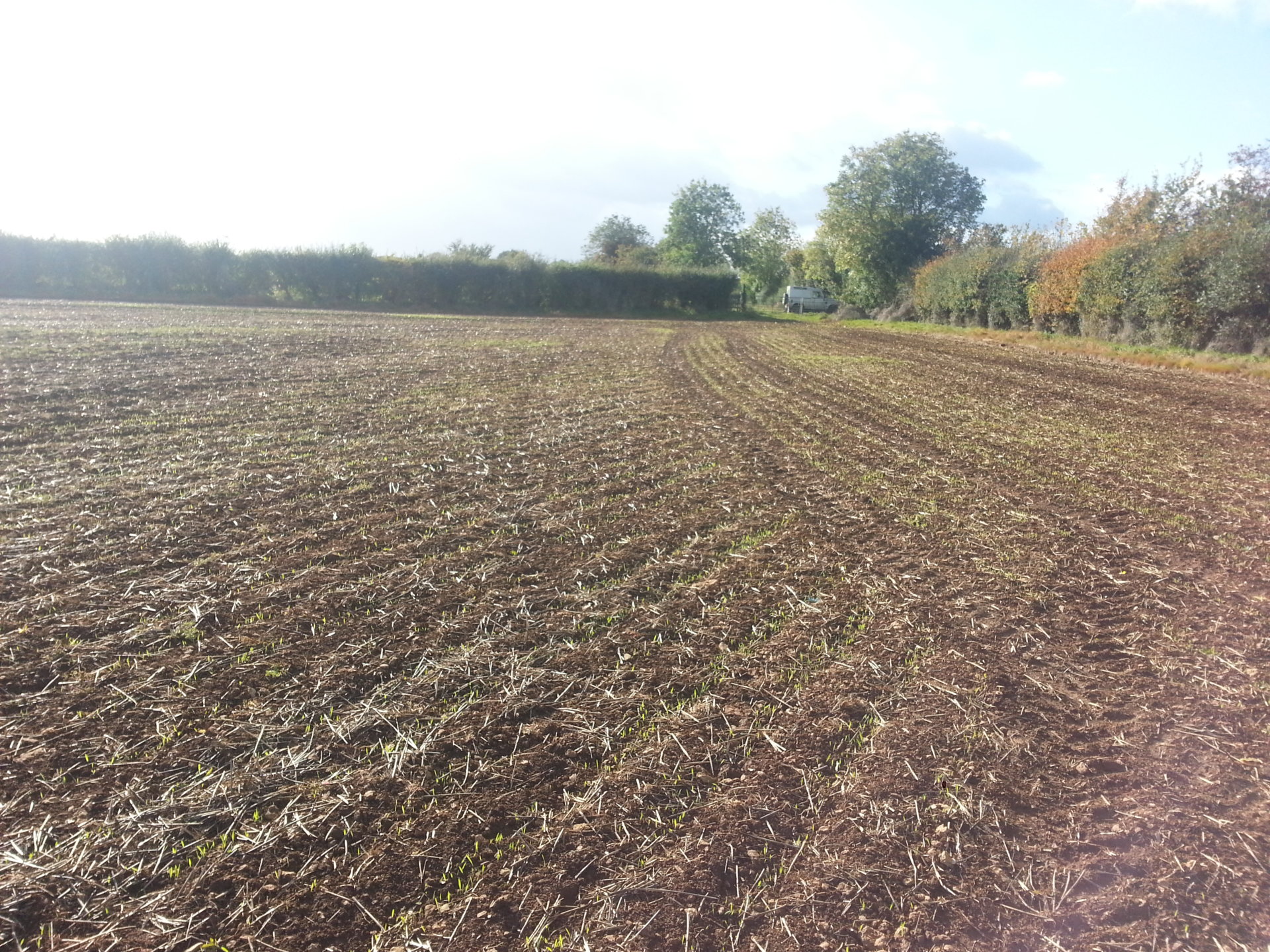 Cotswold brash The Farming Forum