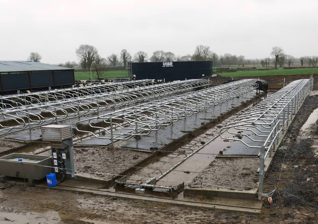 Cow kennels The Farming Forum