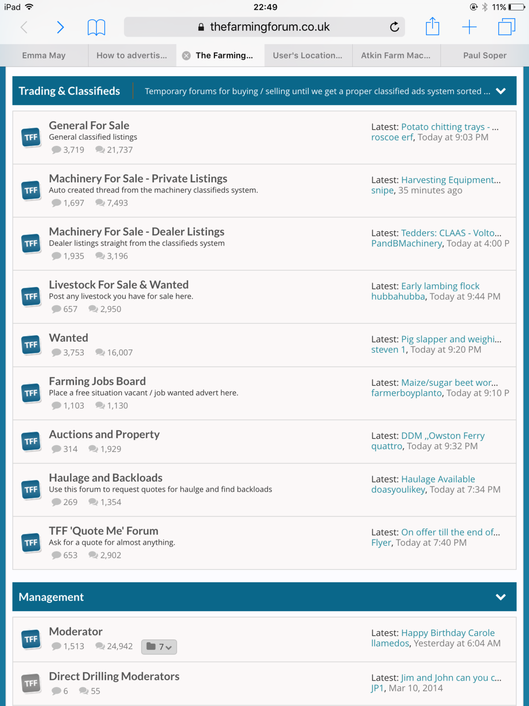 Texel X north country mules theaves | The Farming Forum