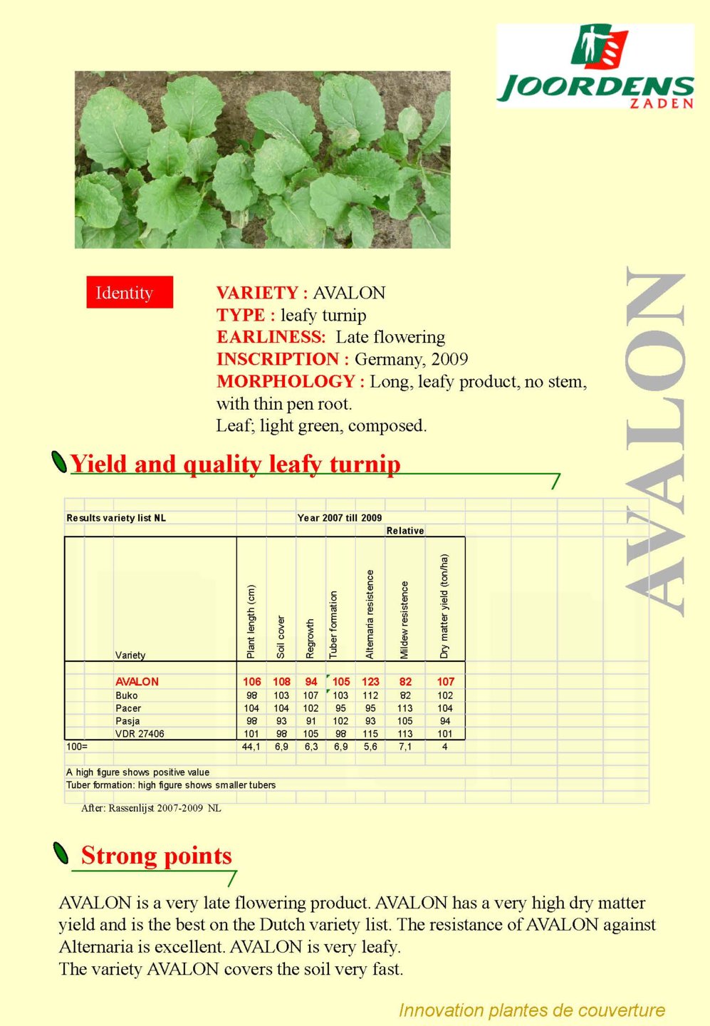 AVALON folder Eng-1.jpg