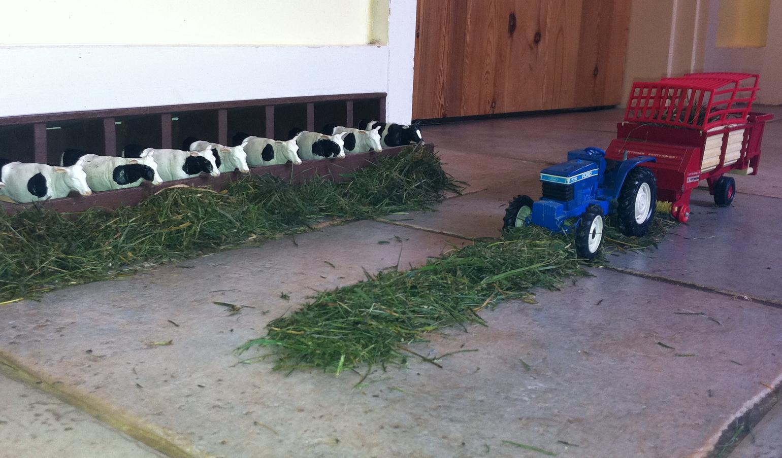 Carpet farming Page 2 The Farming Forum