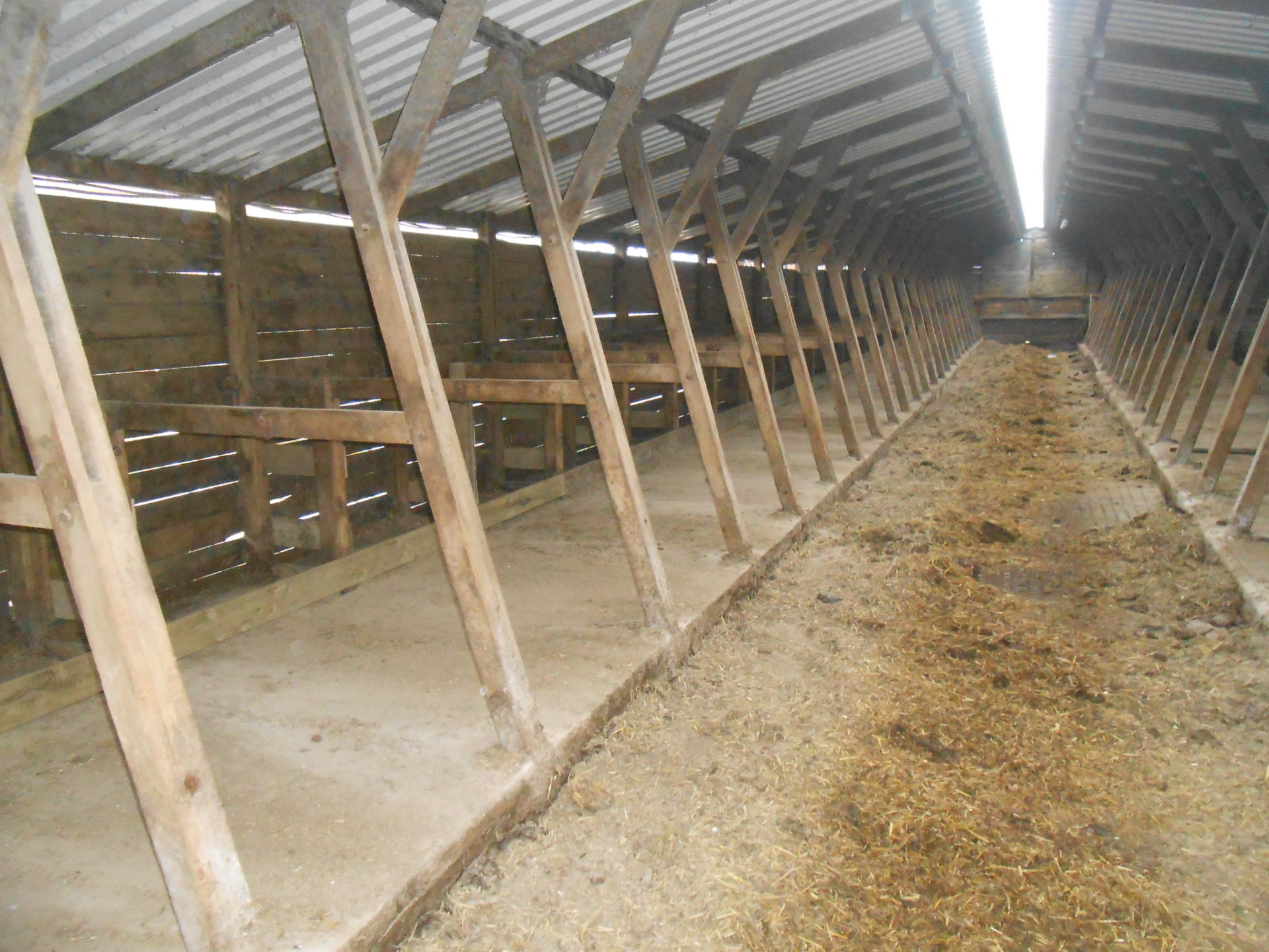 wooden cow kennels The Farming Forum