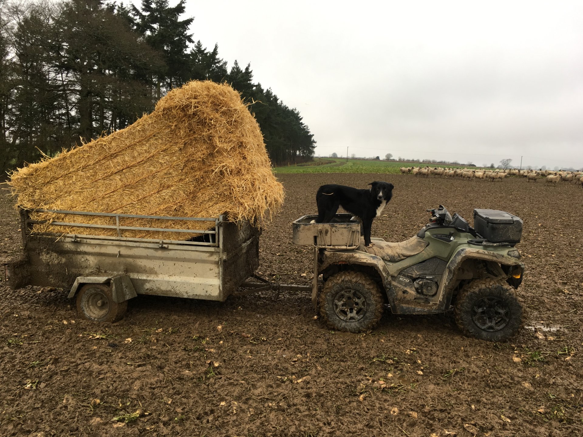 can-am-atv-page-2-the-farming-forum