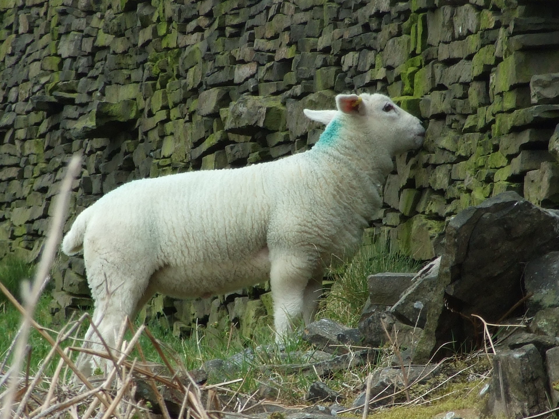 Today NOT At Work Page 260 The Farming Forum