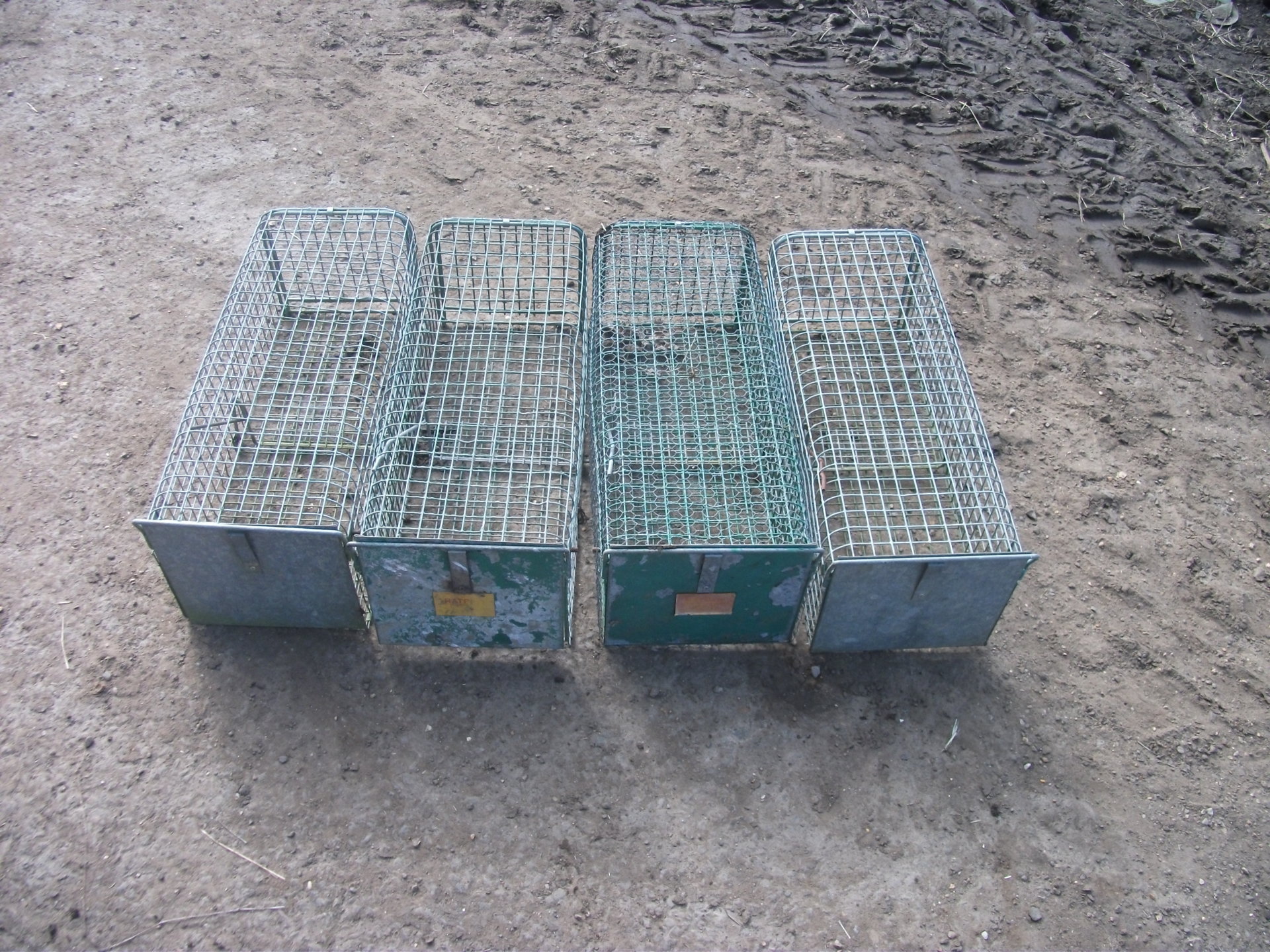 Live capture rabbit traps | The Farming Forum