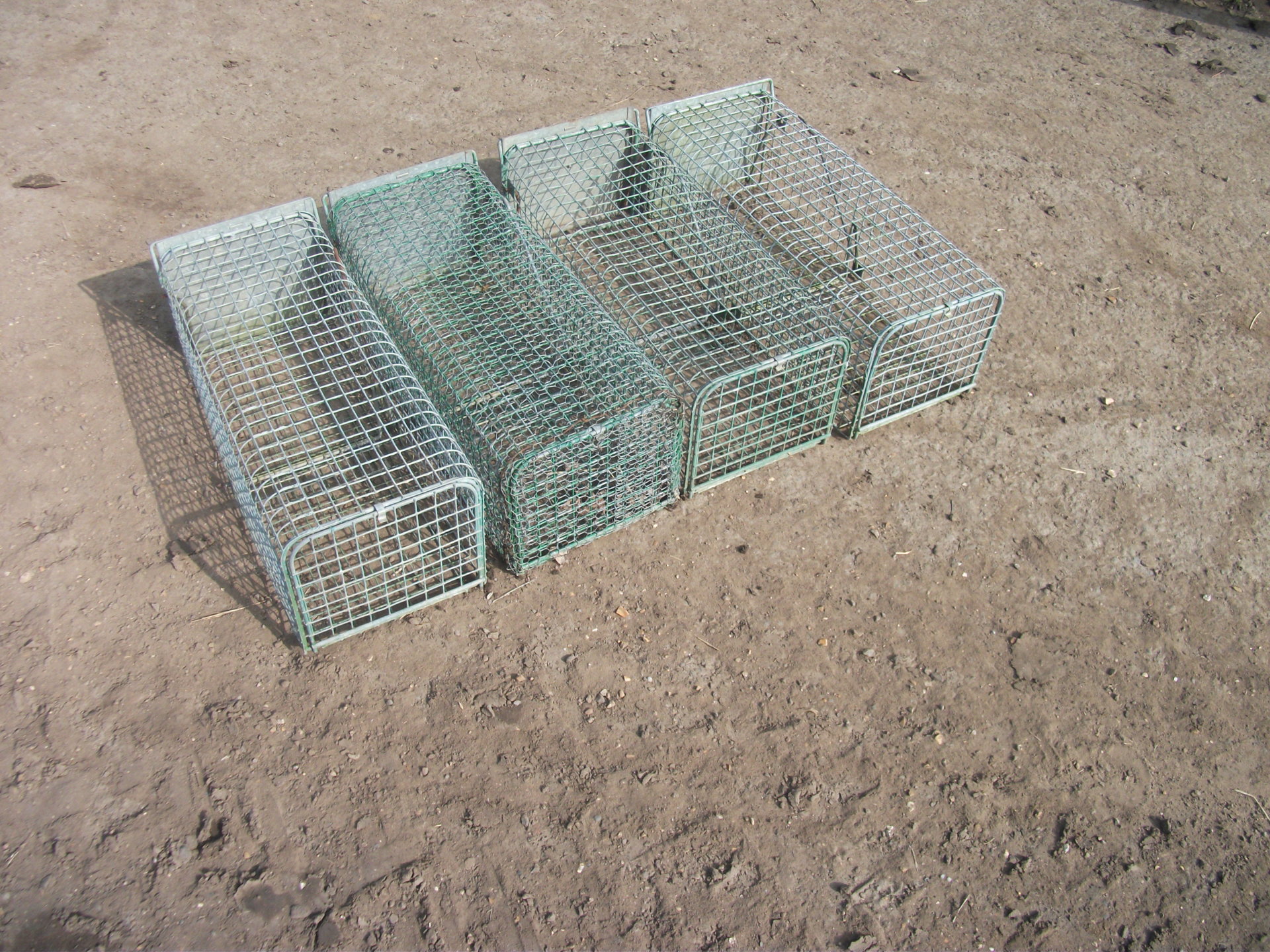 Live capture rabbit traps | The Farming Forum