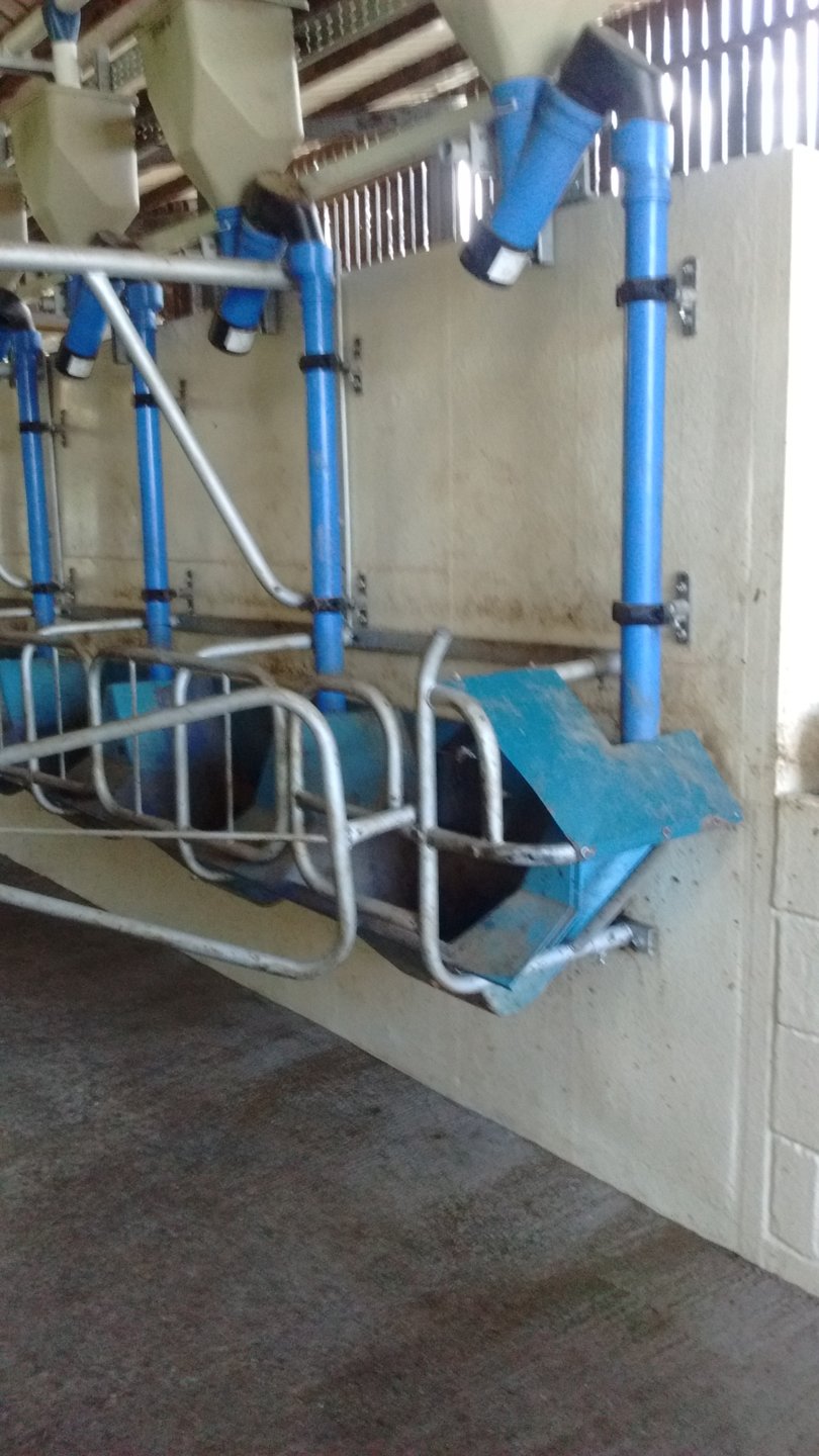 Milking parlour wall finish (tiles rite cover etc) | The Farming Forum
