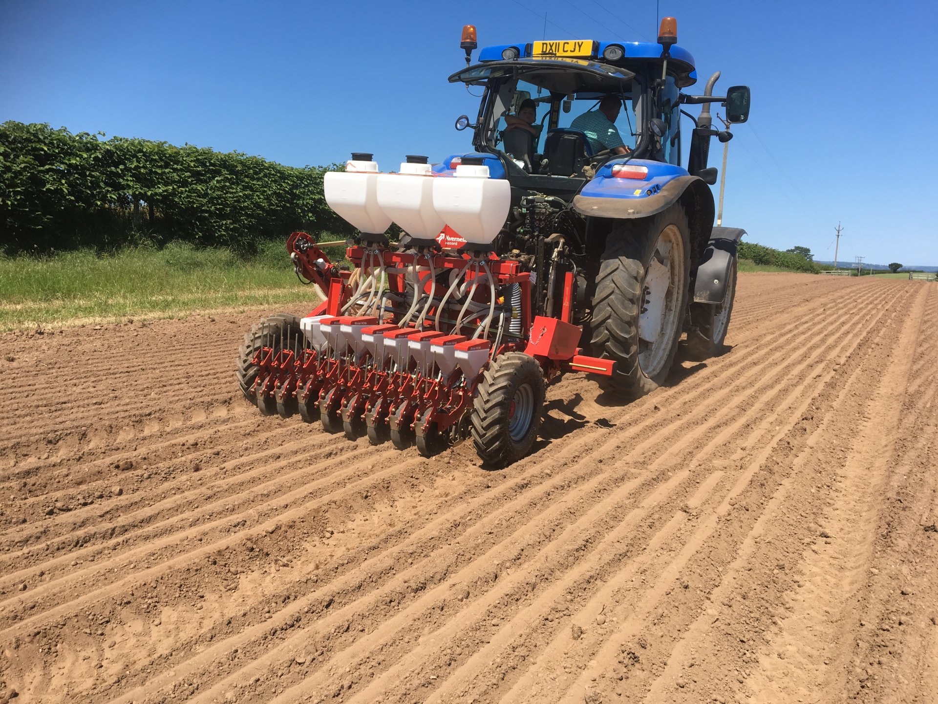 Carrot spacing?! The Farming Forum