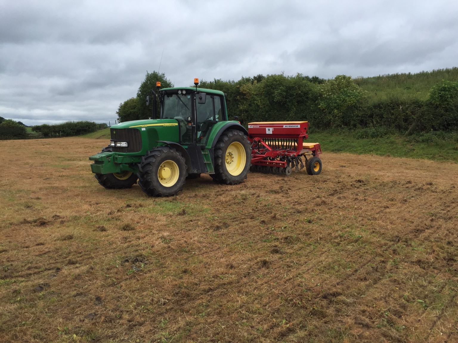 Stubble Turnips. The Farming Forum