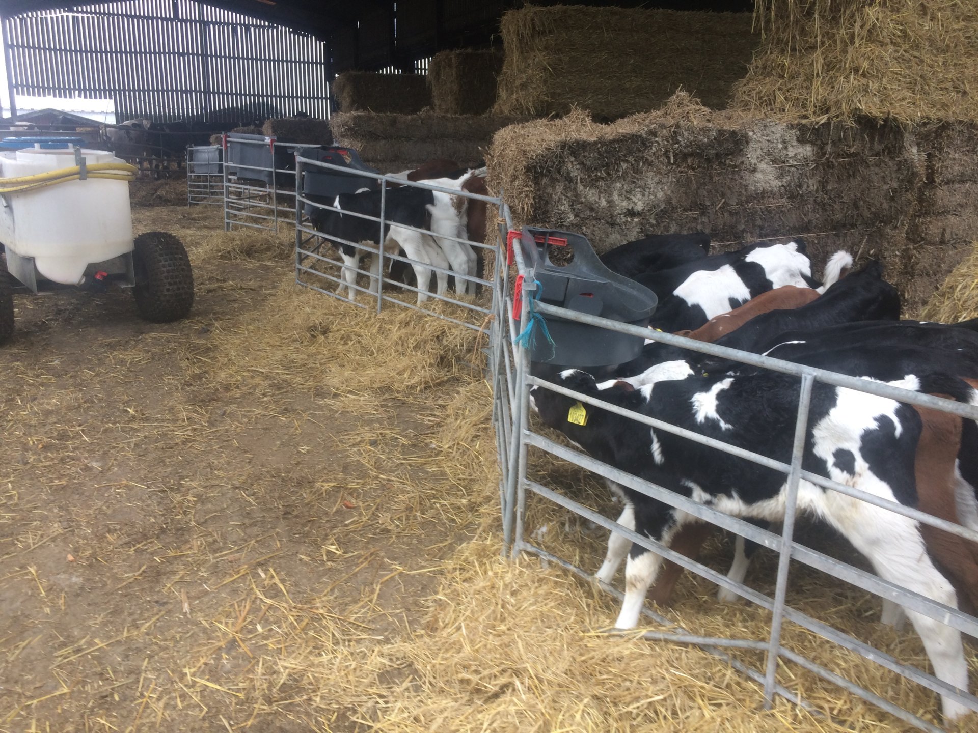 What Milk Feeder The Farming Forum