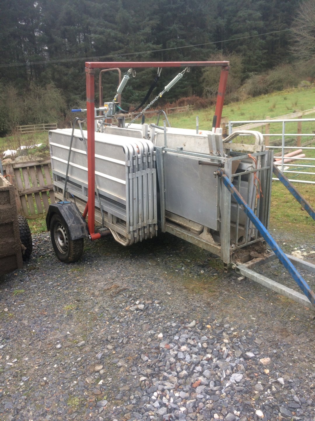 Mobile sheep race The Farming Forum